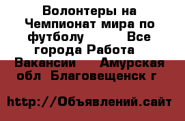 Волонтеры на Чемпионат мира по футболу 2018. - Все города Работа » Вакансии   . Амурская обл.,Благовещенск г.